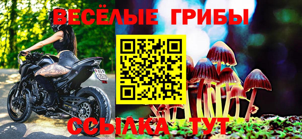 Галлюциногенные грибы MAGIC MUSHROOMS  Галлюциногенные грибы мухоморы  Бирск  Вход с VPN 
